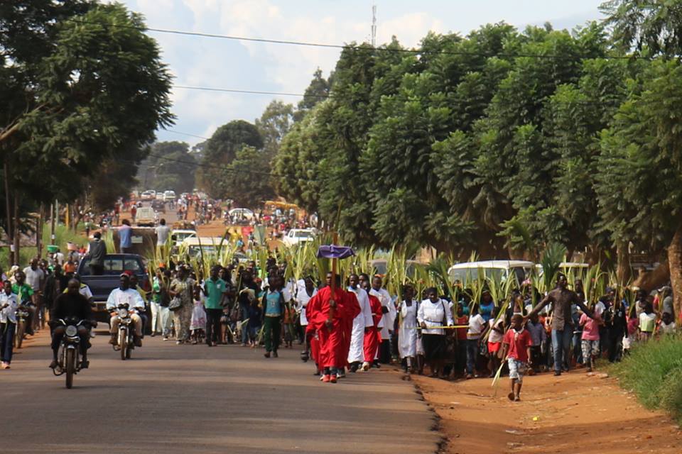 Read more about the article Palm Sunday Celebrations