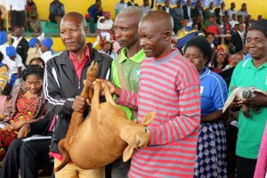 17498989_1243170829132283_1854520668104313628_n