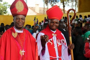 Read more about the article A new Bishop in Niassa