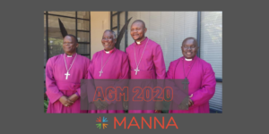 Read more about the article AGM hears plans progressing for a new Province & Multiplication of Dioceses
